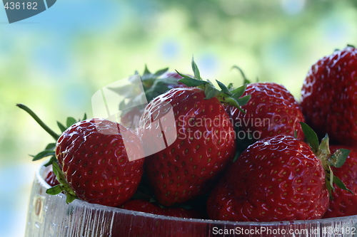 Image of STRAWBERRY - taste of summer