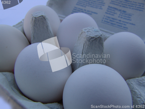 Image of Eggs