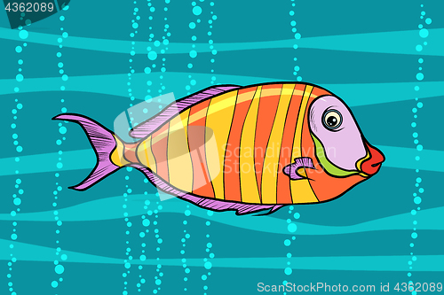 Image of cichlid aquarium fish