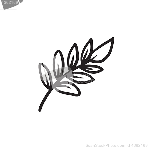 Image of Palm branch sketch icon.