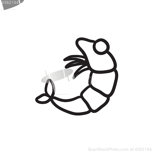 Image of Shrimp sketch icon.