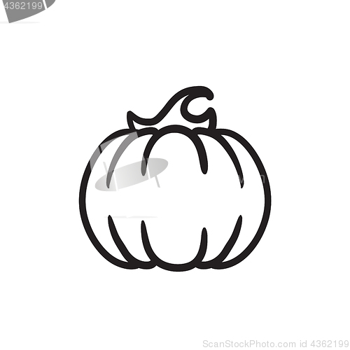 Image of Pumpkin sketch icon.