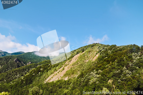 Image of Carpathian Mountains