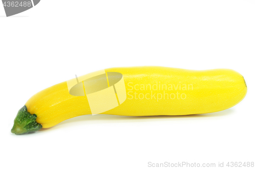 Image of Yellow fresh squash isolated  