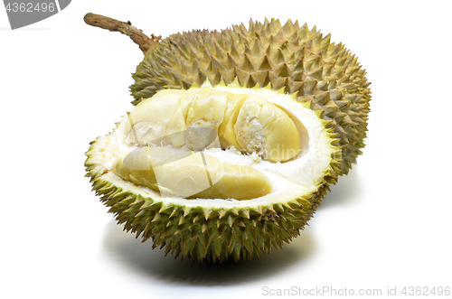 Image of Durian fruit isolated on white background