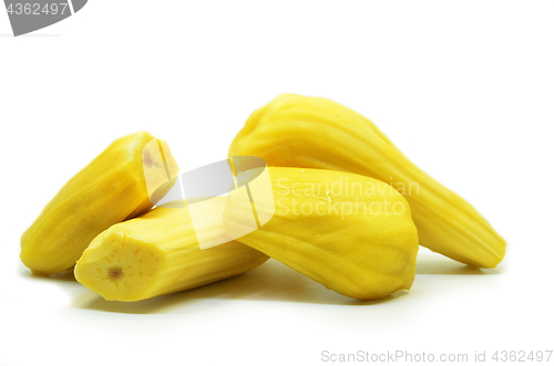 Image of Ripe jackfruit isolated