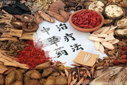 Image of Chinese Alternative Medicine