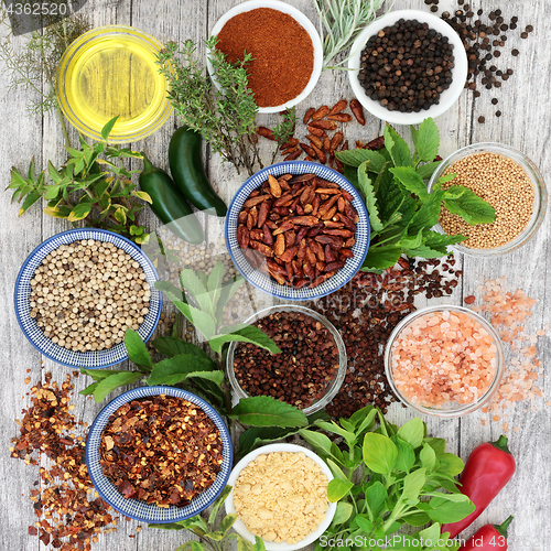 Image of Herbs and Spices 