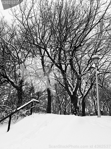 Image of Winter park after snowstorm