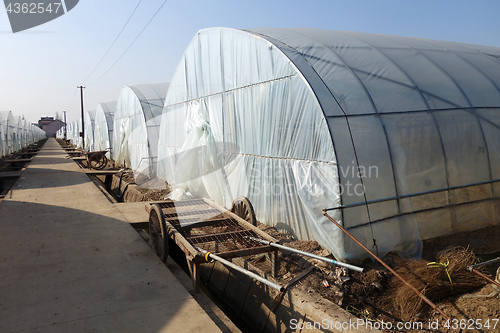 Image of Large greenhouse for plants in the autumn