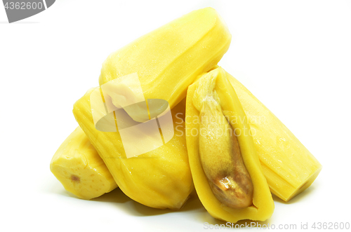 Image of Ripe jackfruit isolated