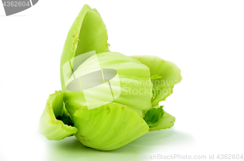 Image of Green mustard isolated 