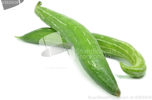 Image of Snake gourd isolated