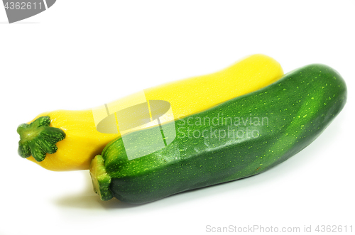 Image of Yellow squash and  zucchini 