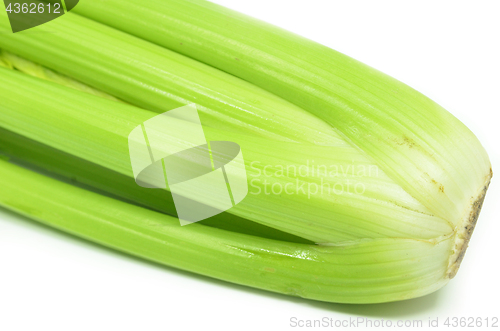 Image of Bunch of celery sticks isolated