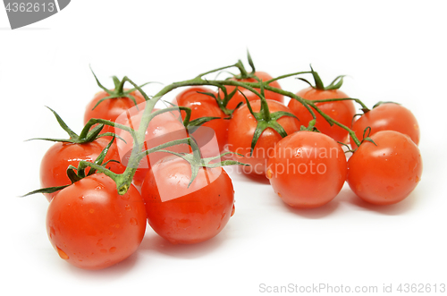 Image of Red cherry tomato