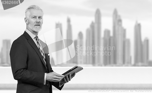 Image of Senior businessman in front of the big city