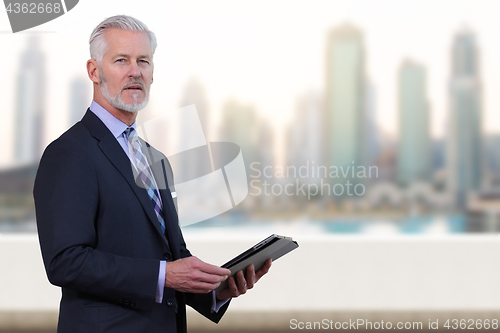 Image of Senior businessman in front of the big city