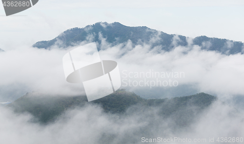 Image of Sea of cloud in forest