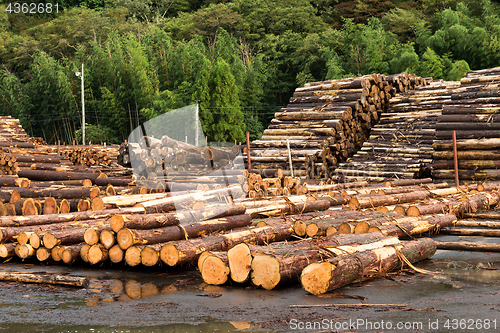 Image of Landscape With Large Woodpile