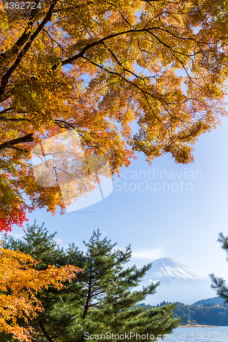 Image of Mt.Fuji in autumn