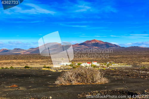 Image of Wine Region of Lanzarote off season