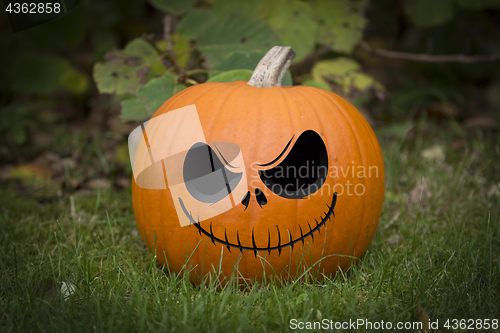 Image of Halloween Pumpin