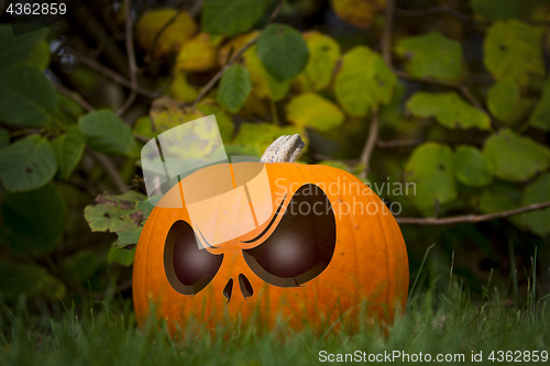 Image of Halloween Pumpin