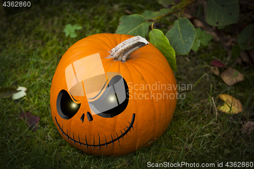 Image of Halloween Pumpin