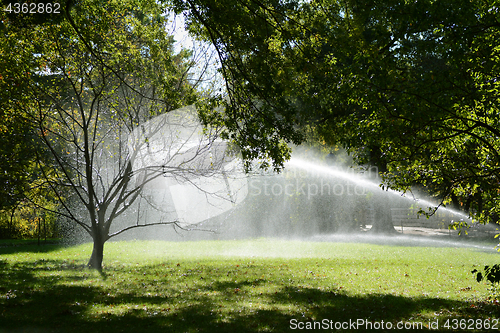 Image of Water droplets from a sprinkler catch in a tree