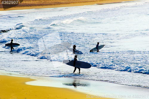 Image of Surfing at sunset