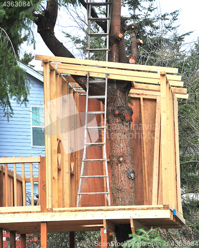 Image of Treehouse.