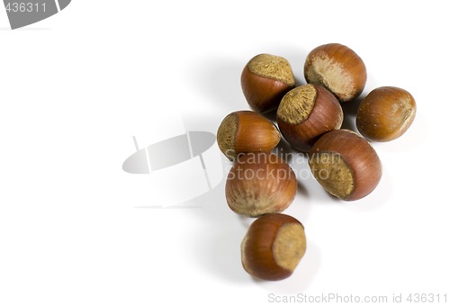 Image of hazelnuts