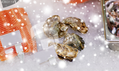 Image of salmon fish and oysters on ice at grocery stall