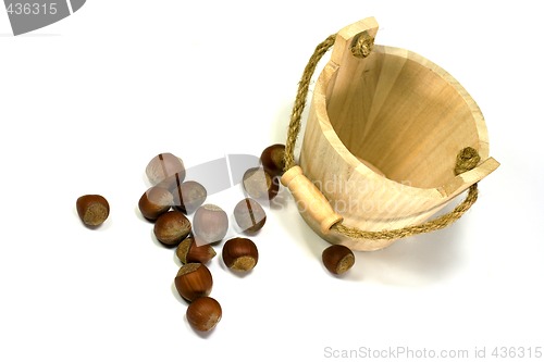 Image of hazelnuts and empty wooden busket