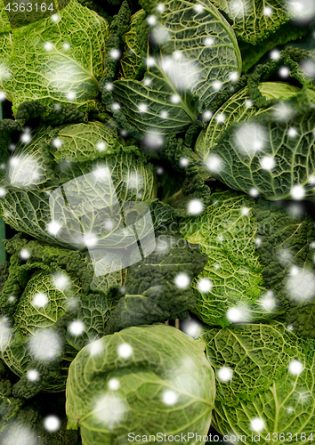 Image of close up of savoy cabbages