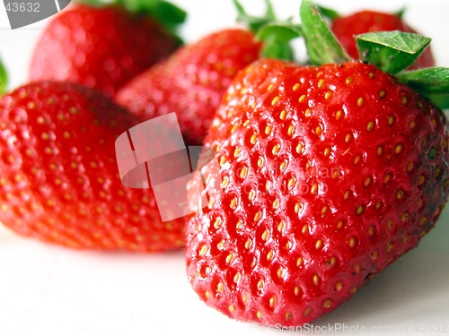 Image of strawberry