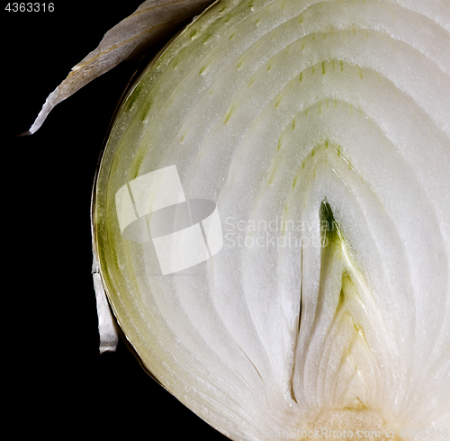 Image of Detail of half a white onion