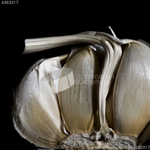 Image of A half of a garlic head