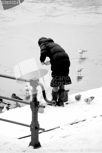 Image of Female feeding pigeons.