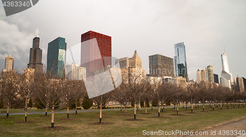 Image of Downtown Chicago Illinois Skyline Stark Winter Park Trees