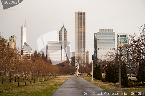 Image of Downtown Chicago Illinois Skyline Stark Winter Park Trees