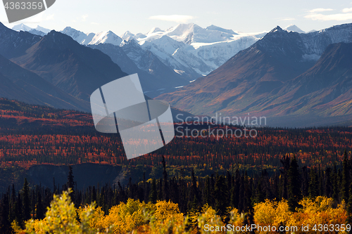 Image of Denali Range Autumn Color Alaska Wilderness Winter Season