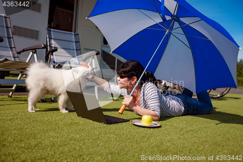 Image of Woman on the grass with a dog looking at a laptop