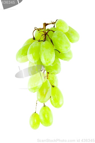Image of Bunch of Grapes
