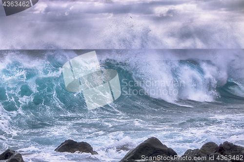 Image of Ocean Wave