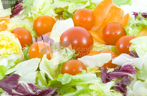 Image of Vegetable Salad