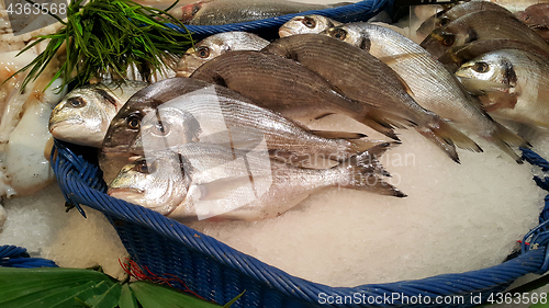 Image of Dorado fish for sale at the market