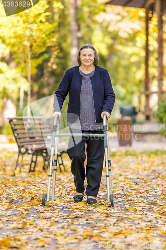Image of Senior woman walking outdoors with walker in autumn park