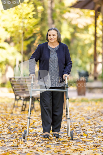 Image of Woman with walker walking outdoors in autumn park